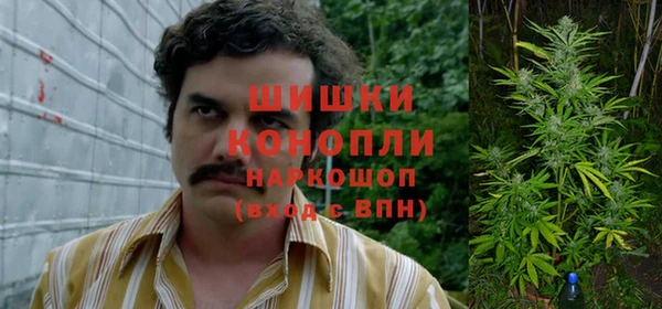 стафф Балахна
