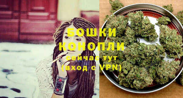 mdpv Белокуриха