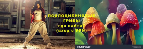 mdpv Белокуриха