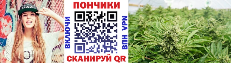 Марихуана гибрид Бугуруслан